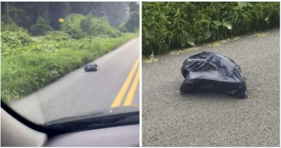 The Reason Why the Trash Bag on the Road Was Moving Shocked the Driver