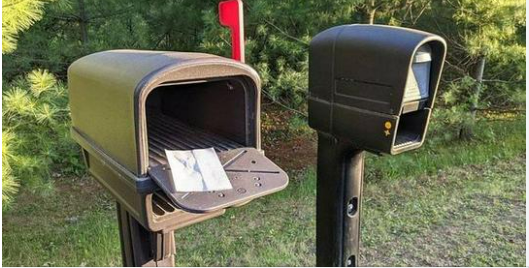 Keeping Mail Carriers Safe from Wasp Nests 