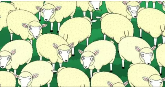 Only for smart people. Try to find the wolf hidden inside the flock of sheep