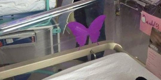 If you see a purple butterfly sticker near a newborn, you need to know what it means