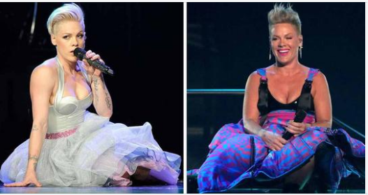 P!nk Divides Fans After Posting Very Revealing “Banana-Bikini” Photo Of Herself