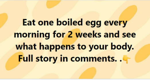 Eat one boiled egg every morning for 2 weeks and see what happens to your body
