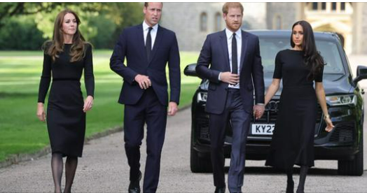 ROYAL EXPERT STATED THAT PRINCE WILLIAM HAS NO LOVE FOR HIS BROTHER ANYMORE 