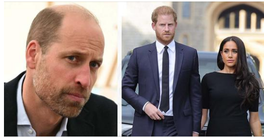 Prince William feared Prince Harry was ‘blindsided by lust’ when dating Meghan Markle