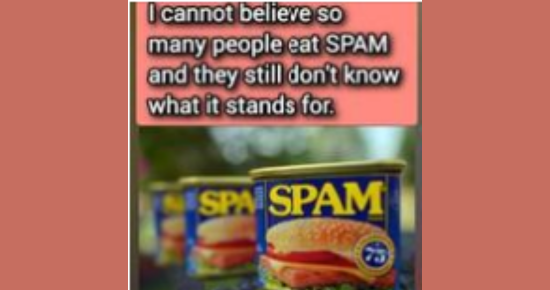 In any case, what is SPAM and what ingredients are there? 