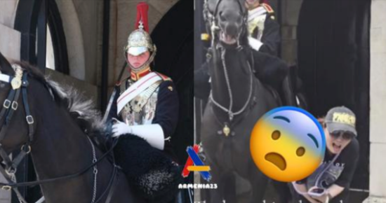 Tourist refuses warnings and gets bitten by King’s Guard horse.
